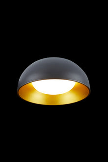  Briar Ceiling Light