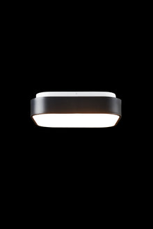  Hadley Ceiling Light